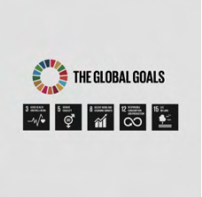 Globale Ziele und Zertifizierungen der Vereinten Nationen
